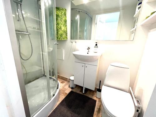 y baño con ducha, aseo y lavamanos. en Cosy apartment with private terrace, en Vallensbæk