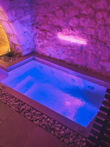 a small pool of water in a room with purple lighting at Luxury Suite Alfieri in Martina Franca