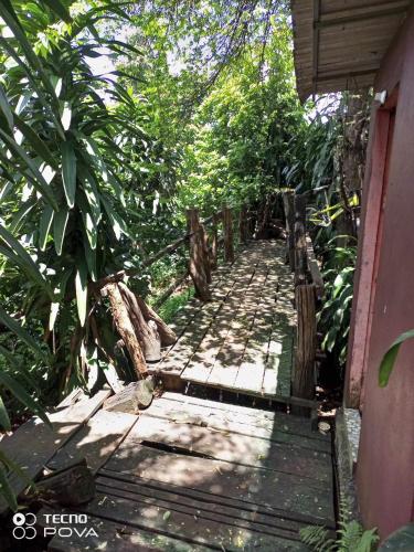 a wooden walkway in the middle of a forest at FamilyHouse & Trekking in Banlung