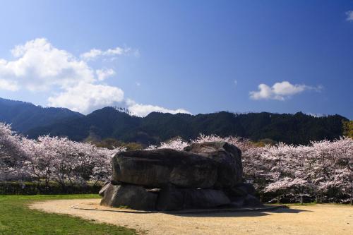 a rock sitting in front of a garden withakura trees at 多武峰観光ホテル in Sakurai