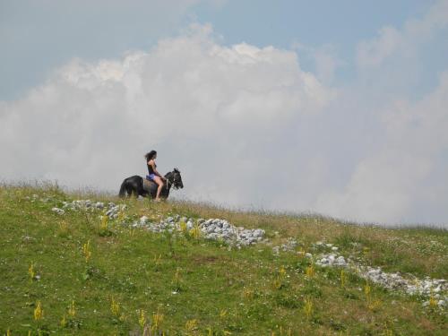 a woman riding a horse on a grassy hill at Boskovica Brvnare in Žabljak