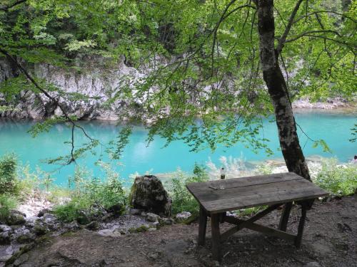 a wooden bench sitting next to a blue river at Boskovica Brvnare in Žabljak