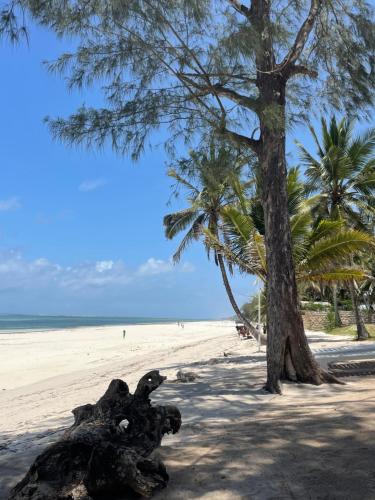 a tree on a sandy beach with palm trees at Stilts Diani Beach in Diani Beach