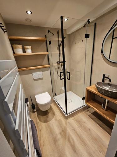 a bathroom with a shower and a toilet and a sink at Kaiserhof 311 mit Meerblick - Reinke in Norderney