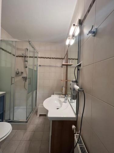een badkamer met een wastafel en een douche bij Ferienwohnung Kärnten Ossiacher See zwei Zimmer Appartement direkter Seezugang Strand beheizte Schwimmhalle in Bodensdorf