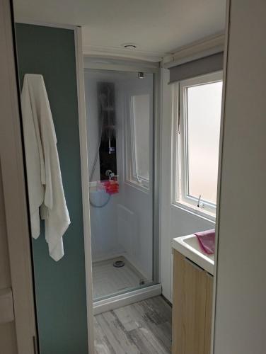 a bathroom with a walk in shower next to a window at MOBIL HOME in Piriac-sur-Mer