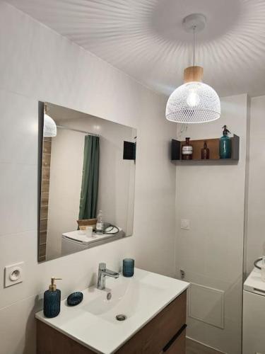 une salle de bain avec un lavabo et un miroir dans l'établissement Entre vignes et montagnes, à Ayse