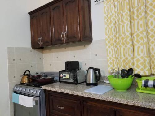a kitchen with a counter top with a stove and a microwave at The Sweet Spot king Bed in Florence Hall