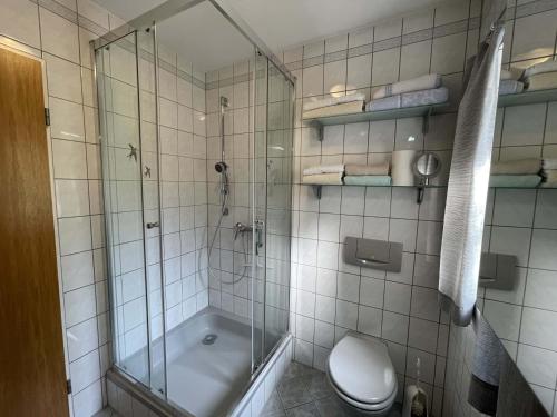y baño con ducha y aseo. en Haus am Berg, en Neunkirchen