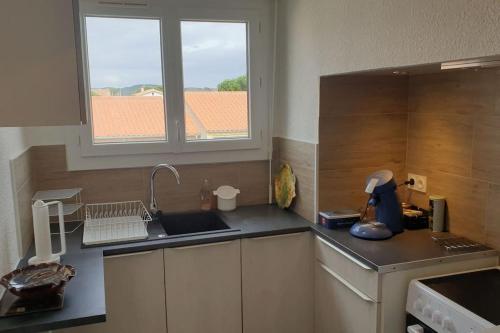 une petite cuisine avec un évier et une fenêtre dans l'établissement Appartement 3 pièces, au Boulou