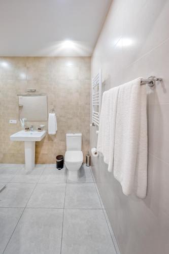 a bathroom with a white toilet and a sink at Solo Grand Boshuri Hotel Wellness Resort in Qvemo Boshuri