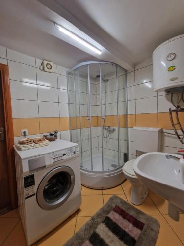 uma casa de banho com uma máquina de lavar roupa e um lavatório em Apartment near center em Sarajevo