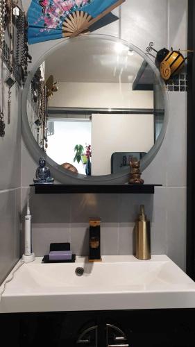 uma casa de banho com um lavatório e um espelho em chambre sur Muret em Muret