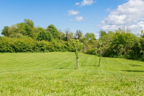 two trees in the middle of a grass field at Pant yr Afallen in Llanallgo