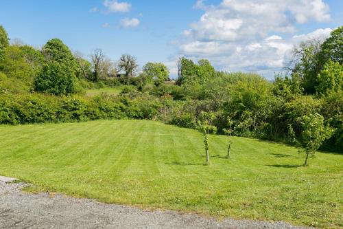 a field with two trees in the grass at Pant yr Afallen in Llanallgo
