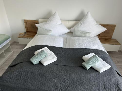 two twin beds with pillows on them in a room at Ferienwohnung Sauerland an der Ruhr in Olsberg