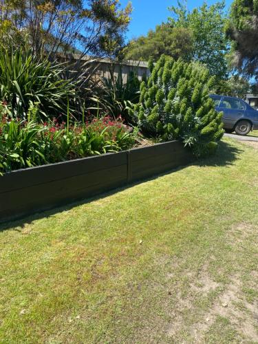 a row of bushes and plants in a yard at Beach Buoy Opossum Bay in South Arm