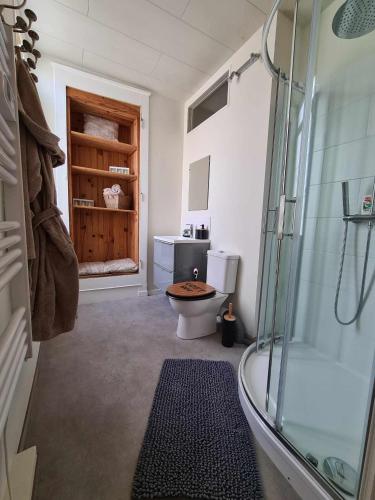 une salle de bain avec toilettes et douche en verre dans l'établissement Maison le trèfle, à Chef-Boutonne