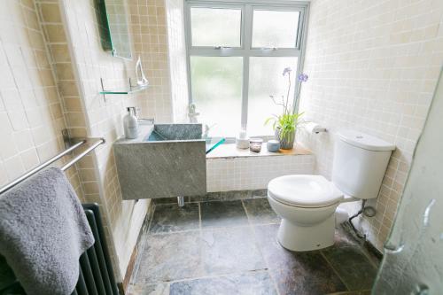 a bathroom with a toilet and a sink and a window at The Moorings in Menai Bridge
