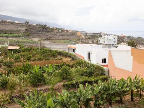 a view of a city with buildings and plants at Live Icod Buen Paso in Icod de los Vinos