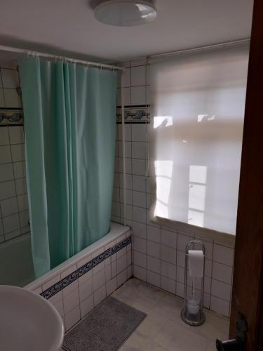 a bathroom with a shower curtain and a sink at Bistro St.Georges in Kornwestheim