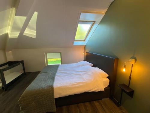 a bedroom with a bed and two windows at Heerlijke strandvilla met sauna in Westerhaar-Vriezenveensewijk