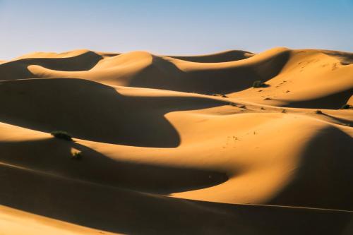 a sand dune in the desert with cars driving at Dihya desert camp in Merzouga