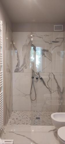 a bathroom with a shower and a sink at La Morra 66 in La Morra