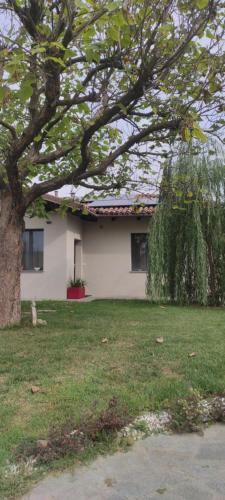 une maison blanche avec un arbre en face dans l'établissement La Morra 66, à La Morra
