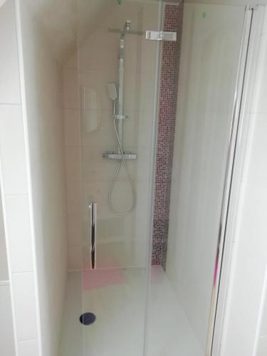 a bathroom with a shower with a glass door at Gîte Ty Loguellou in Locmélar