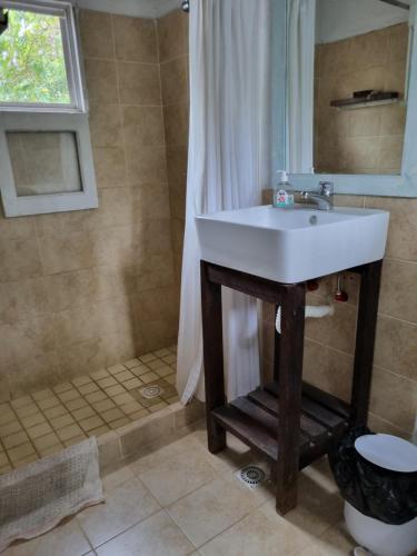 a bathroom with a sink and a shower at Casa bosque y mar in Ocean Park