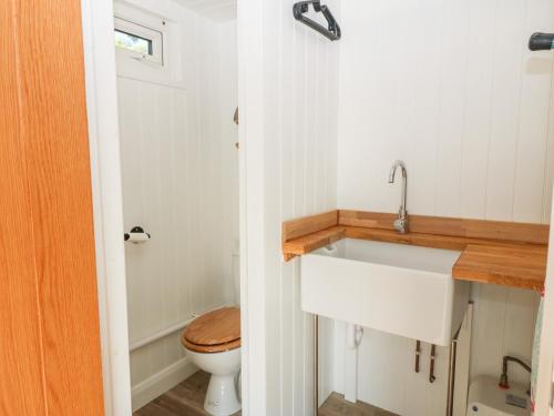 a bathroom with a sink and a toilet at Llwyn Onn in Pwllheli