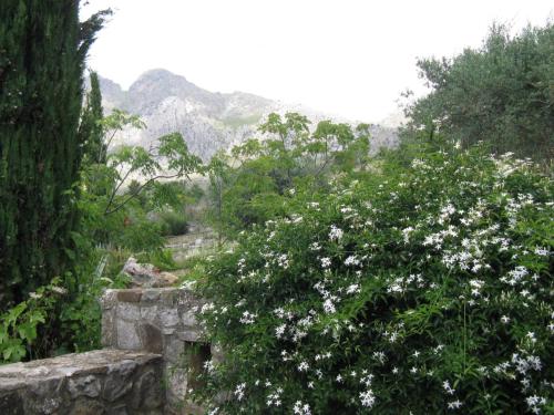 Gallery image of Crapa Licca in Ventimiglia di Sicilia