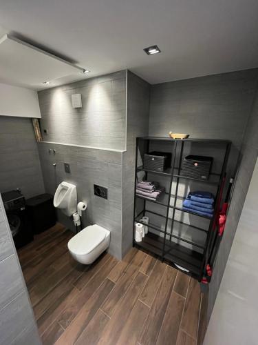 a bathroom with a toilet and a shelf with towels at Apartment Bacci in Vrhnika