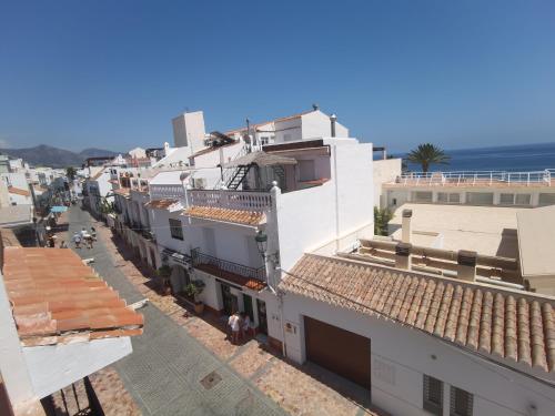 Sunny Carabeo 61