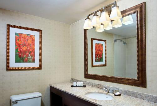 a bathroom with a sink and a mirror at Embassy Suites Parsippany in Parsippany