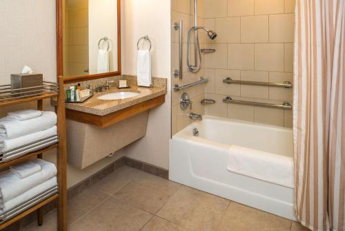 y baño con bañera, lavamanos y ducha. en Hilton Seattle Airport & Conference Center, en SeaTac