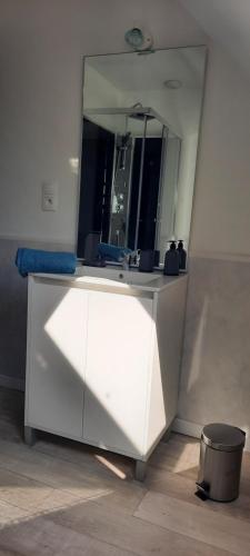 a bathroom with a white sink and a mirror at La Maison LUDO in Arrest
