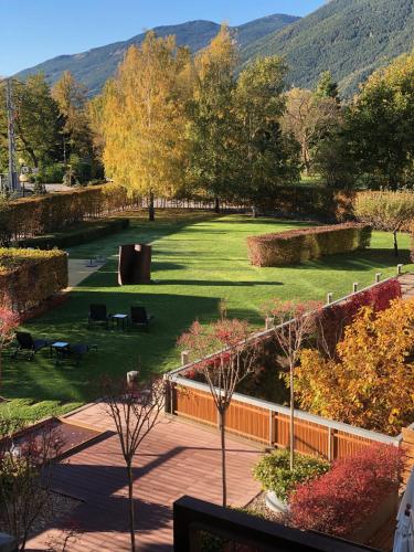a view of a park with trees and grass at Tierra de Biescas in Biescas
