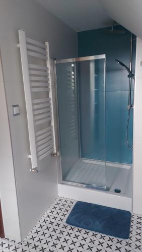 W łazience znajduje się prysznic ze szklanymi drzwiami. w obiekcie Pokoje gościnne u Galusia w mieście Mochnaczka Wyżna