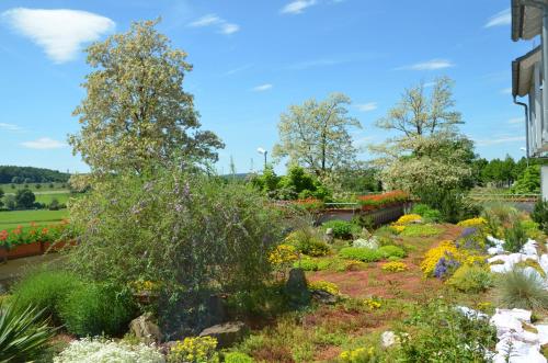 a garden of flowers in a building at Hotel Landhaus Feckl in Böblingen