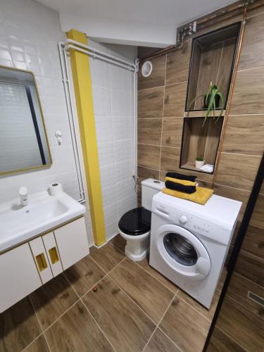 a bathroom with a washing machine and a sink at Loft in 1902 Art-Nouveau Villa in Oradea