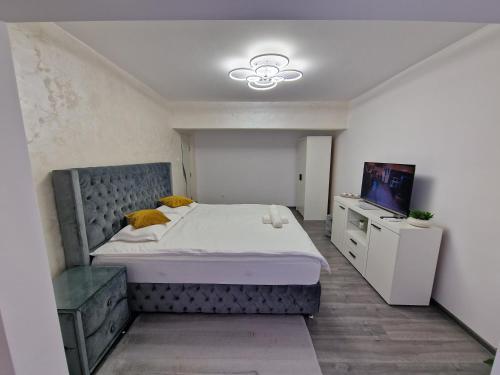 a bedroom with a bed and a television in it at Apartament AlyMit Băile Herculane in Băile Herculane