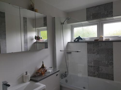 bagno con doccia, lavandino e specchio di Beautiful Apartment in High Wycombe a Buckinghamshire