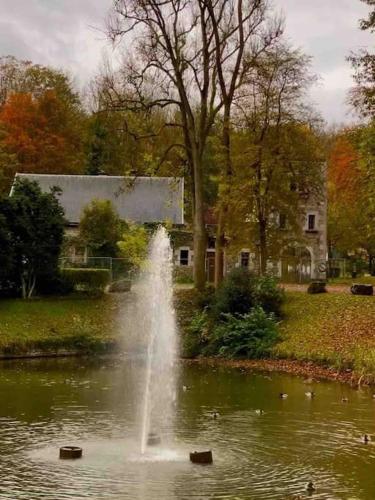 a fountain in a pond in front of a house at L’Echo de l’Ourthe - Tilff (Liège) in Tilff