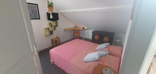 a bedroom with a pink bed in a attic at Cramiland - Chambre d'hôte chez nous in Montbéliard
