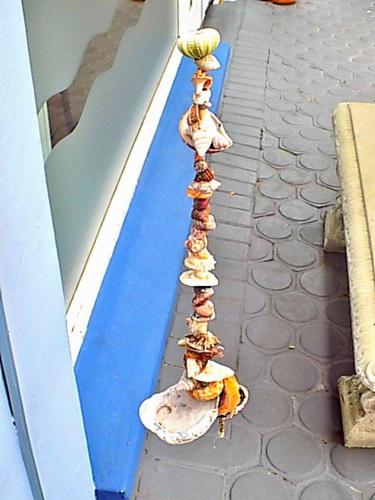 Gambar di galeri bagi Shark shacks di Mossel Bay