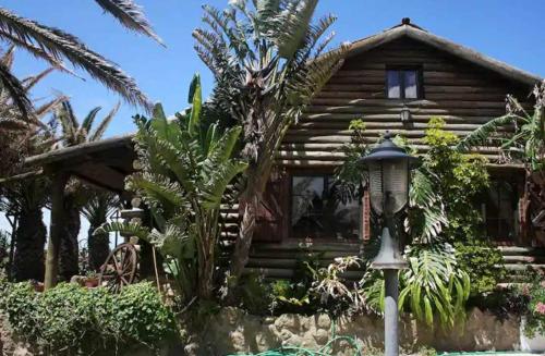 a log cabin with a palm tree in front of it at Casa da Rústica in Atalaia de Cima