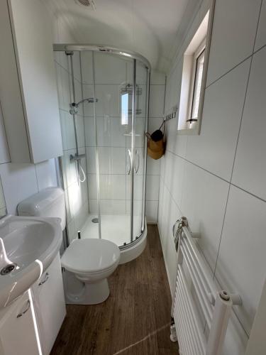 a bathroom with a shower and a toilet and a sink at Effe Niks in Buren