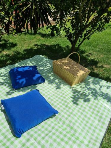 a picnic blanket with blue pillows and a basket on it at Ecovila Coração da Mata in Brumadinho